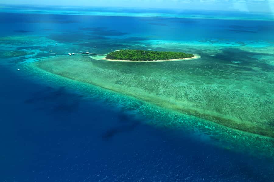Cairns: Outer Edges of The Great Barrier Reef Scenic Flight - Key points to know before booking
