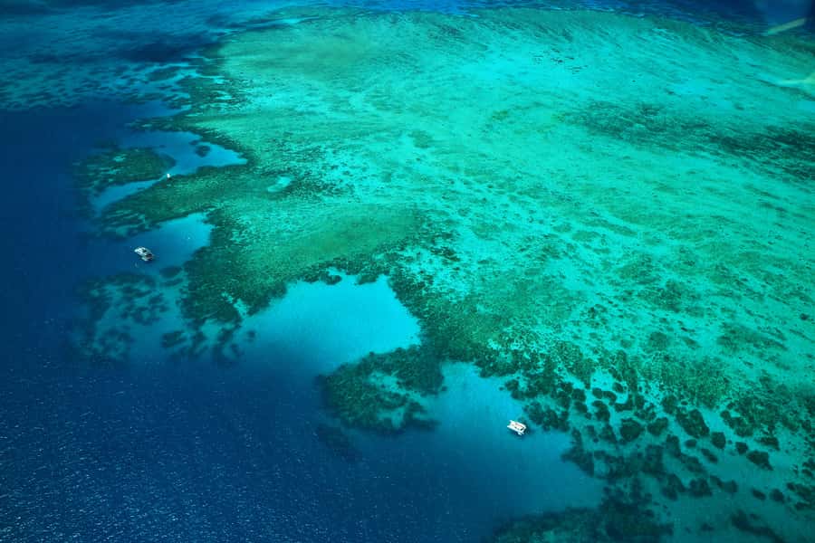 Cairns: Outer Edges of The Great Barrier Reef Scenic Flight - Green Island and the inner reef