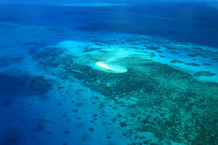 Cairns: Outer Edges of The Great Barrier Reef Scenic Flight - Arlington Reef, Middle Cay, and the Outer Barrier