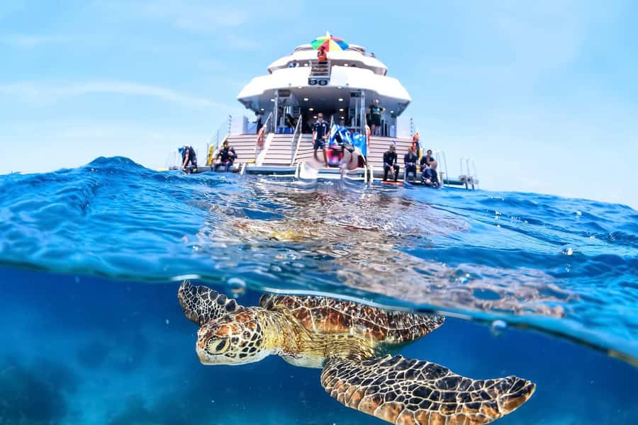 Cairns: Outer Great Barrier Reef Full-Day Tour with Lunch - A full day on the Evolution from Cairns