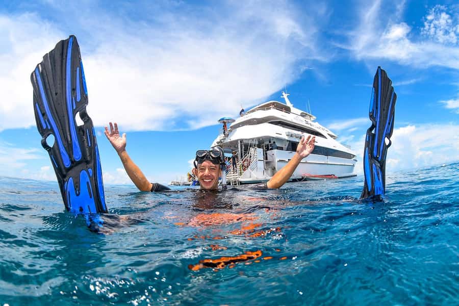 Cairns: Outer Great Barrier Reef Full-Day Tour with Lunch - Saxon Reef: your first two hours in the water