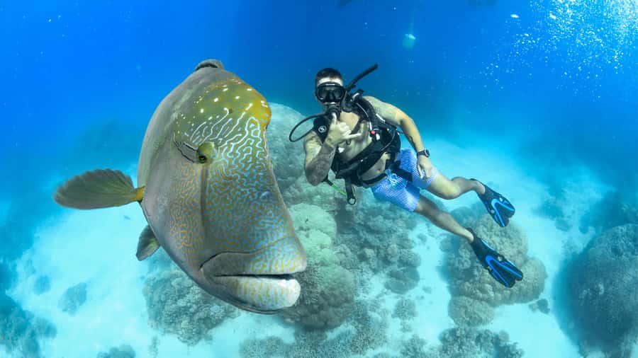 Cairns: Outer Great Barrier Reef Full-Day Tour with Lunch - Lunch between the reefs