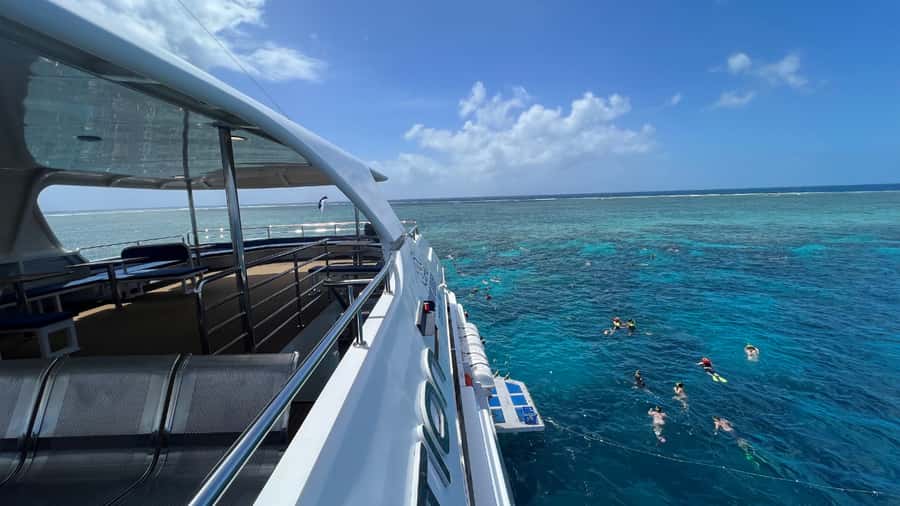 Cairns: Outer Great Barrier Reef Full-Day Tour with Lunch - The ride home, wine, and the practical comfort factor