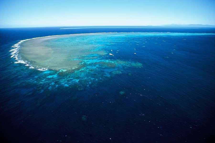 Cairns: Outer Great Barrier Reef Full-Day Tour with Lunch - Crew service and safety