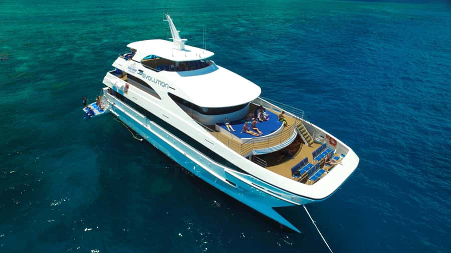 Cairns: Outer Great Barrier Reef Full-Day Tour with Lunch - Morning tea and the first 80 minutes at sea