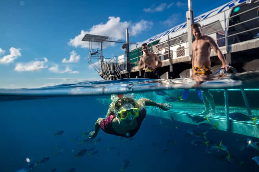 Cairns: Outer Great Barrier Reef Pontoon with Activities - What the $208 Moore Reef ticket really buys