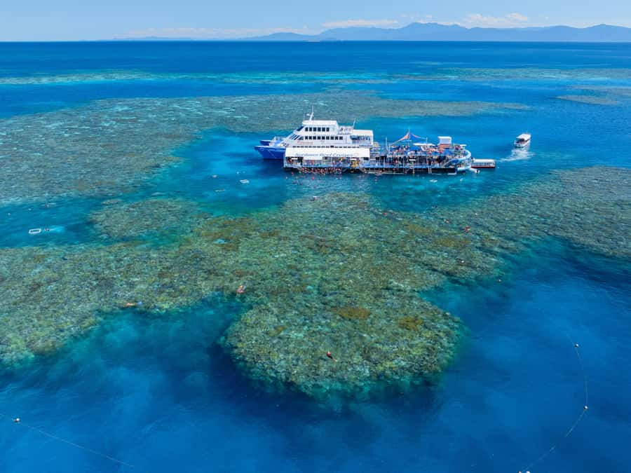 Cairns: Outer Great Barrier Reef Pontoon with Activities - The 90-minute catamaran ride to Moore Reef