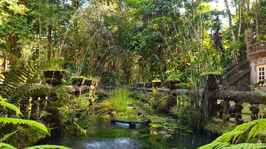 Cairns: Paronella, Lake Barrine & Millaa Millaa Falls Tour - Key points at a glance