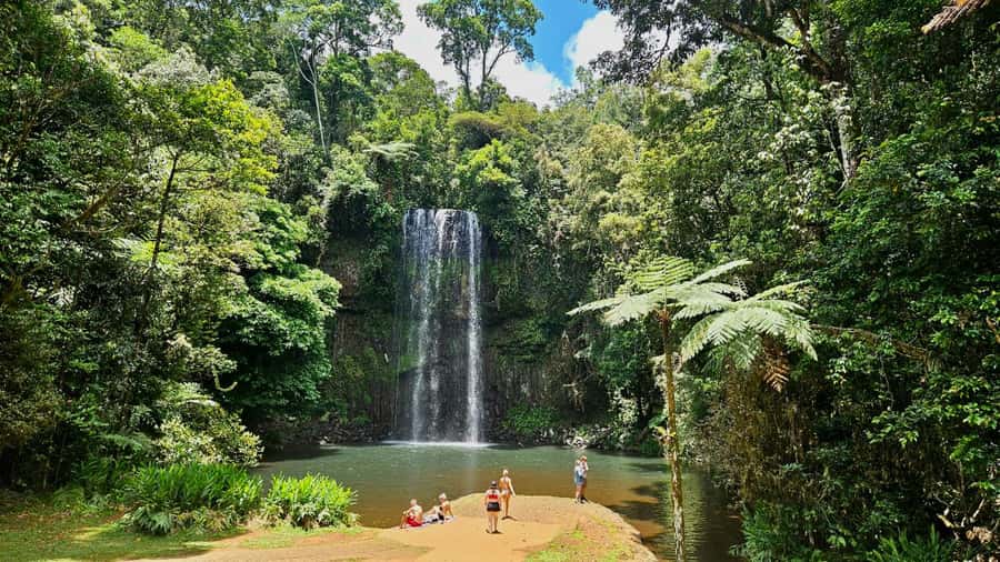 Cairns: Paronella, Lake Barrine & Millaa Millaa Falls Tour - The early pickup and Gillies Highway views