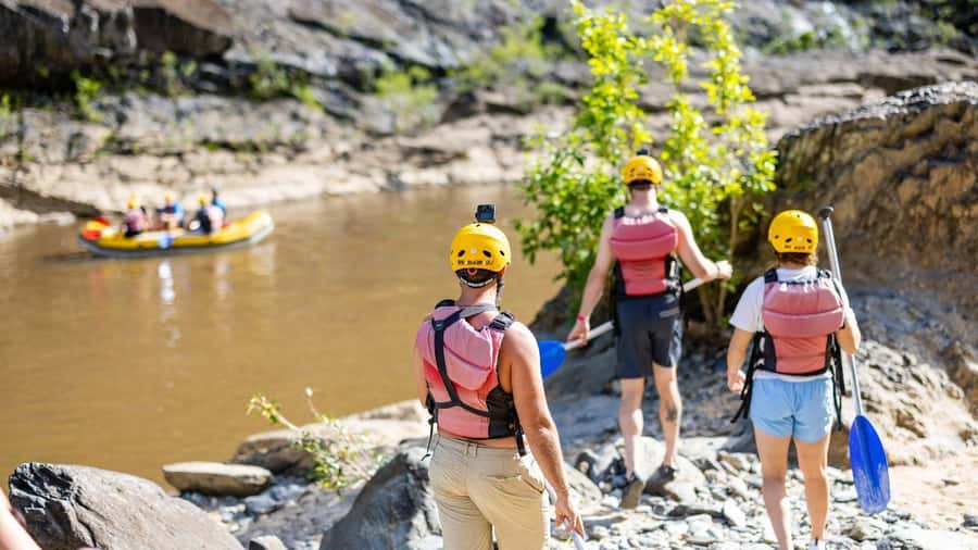 Cairns: Raging Thunder Barron Gorge River Rafting Trip - Rainforest views between the splashes