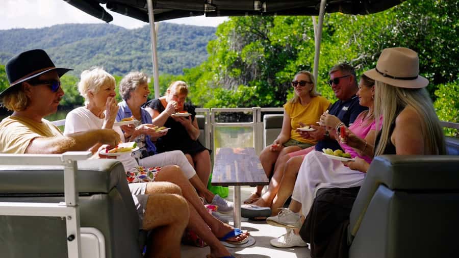 Cairns: Sightseeing River Boat Safari with Soft Drinks - Mangroves, creeks, and the tropical waterway