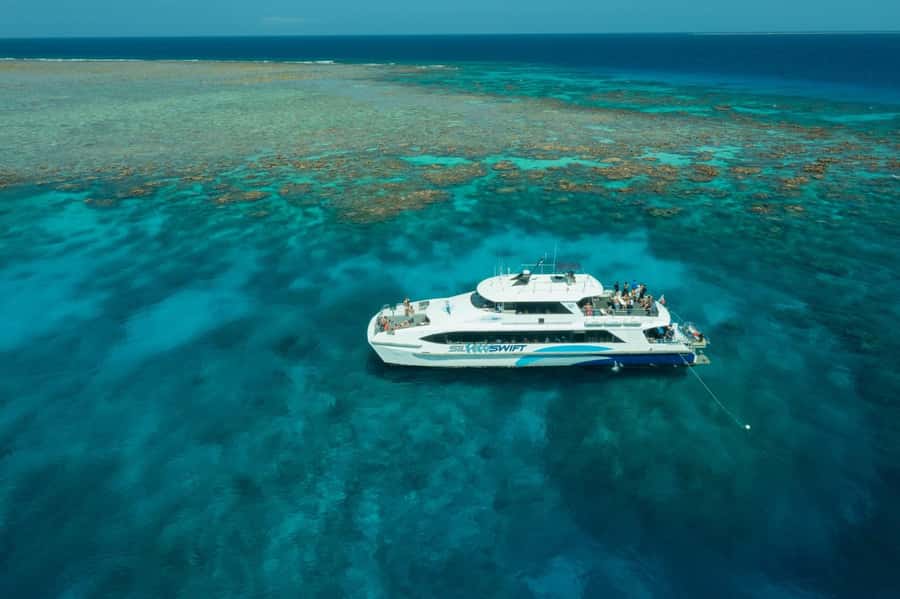 Cairns: Silverswift 3 Great Barrier Reef Sites in 1 Day - Snorkeling, guided help, and water access