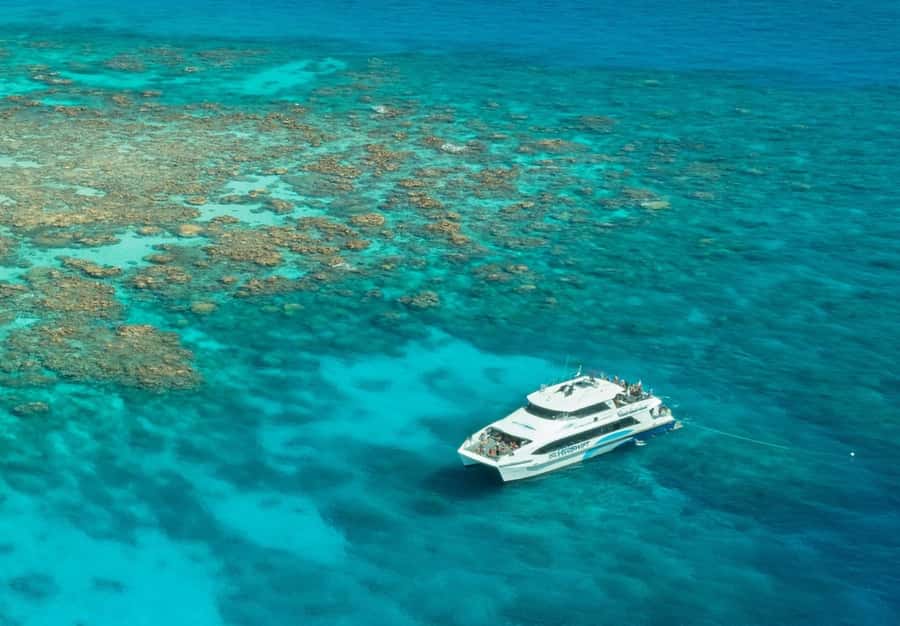 Cairns: Silverswift 3 Great Barrier Reef Sites in 1 Day - Who should choose this reef trip?