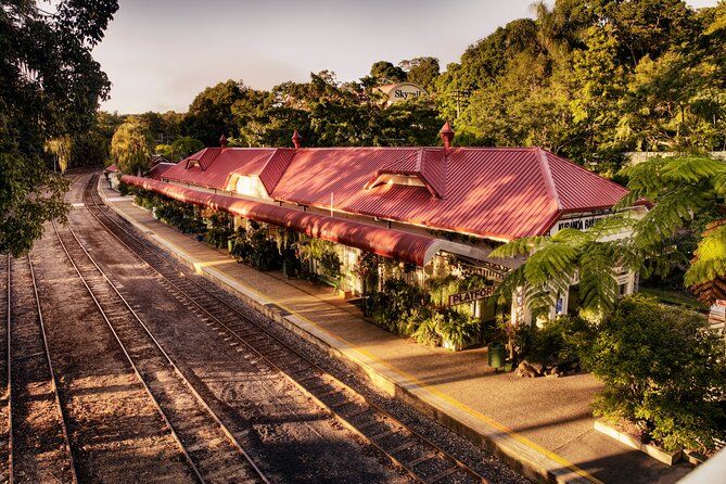 Cairns Small-Group Kuranda Tour: Skyrail & Scenic Railway - What the guides add to the day