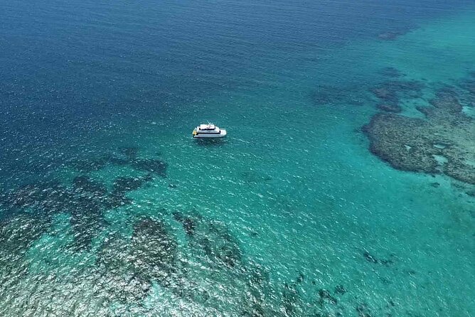 Cairns: Small Group | Outer Reef Snorkel & Dunk Island - Dunk Island and its one-hour pause