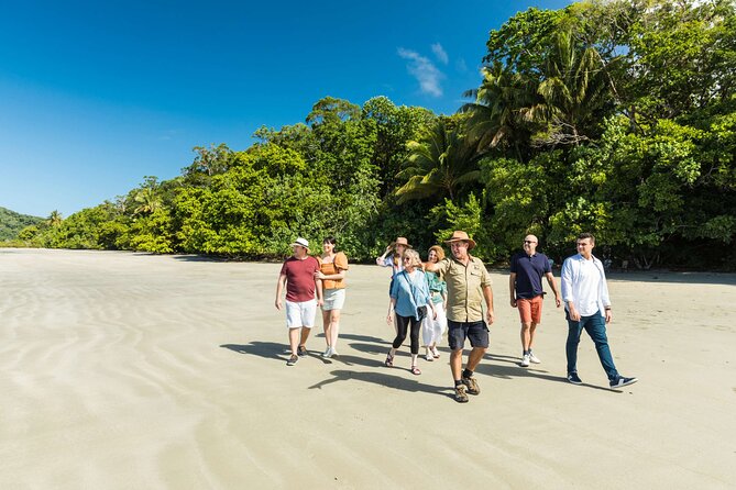 Cairns Super Saver: Reef Cruise, Daintree & Kuranda Rail/Skyrail - Key points before you book