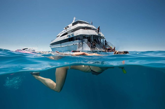 Cairns Super Saver: Reef Cruise, Daintree & Kuranda Rail/Skyrail - Three days that cover Cairns’ biggest sights