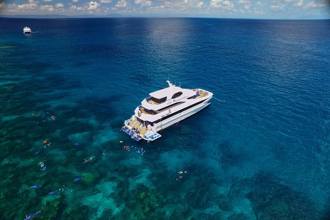 Cairns Super Saver: Reef Cruise, Daintree & Kuranda Rail/Skyrail - Kuranda by railway and Skyrail