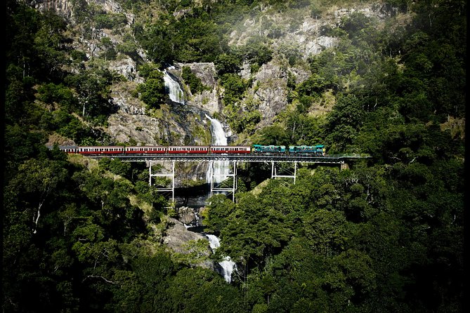 Cairns Super Saver: Reef Cruise, Daintree & Kuranda Rail/Skyrail - The Daintree, Cape Tribulation, and Mossman Gorge