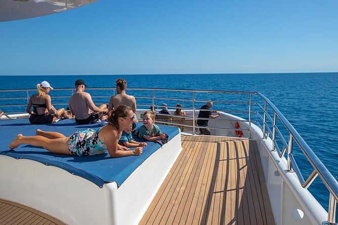 Cairns Super Saver: Reef Cruise, Daintree & Kuranda Rail/Skyrail - What the package price really buys you