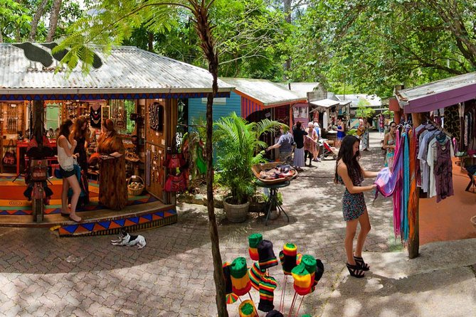 Cairns Super Saver: Reef Cruise, Daintree & Kuranda Rail/Skyrail - Who will enjoy this three-day plan