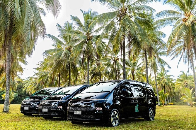 Cairns to Port Douglas ONE WAY Private Transfer 6 pax - The drivers shape the experience