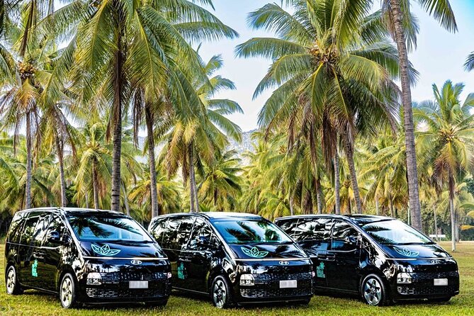 Cairns to Port Douglas ONE WAY Private Transfer 6 pax - Who will get the most from this transfer