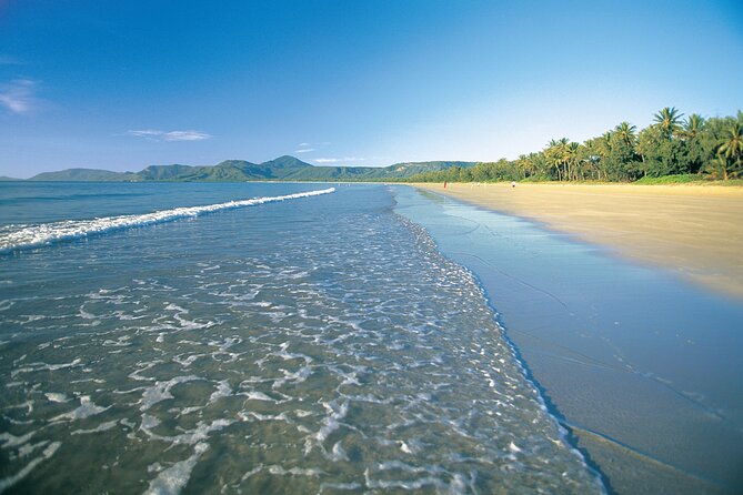 Cairns to Port Douglas ONE WAY Private Transfer 6 pax - Booking timing, cancellation, and practical value
