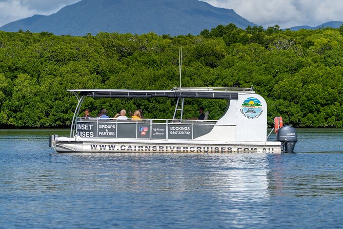 Cairns Trinity Inlet Sightseeing Safari - Mangrove creeks and saltwater crocodile country