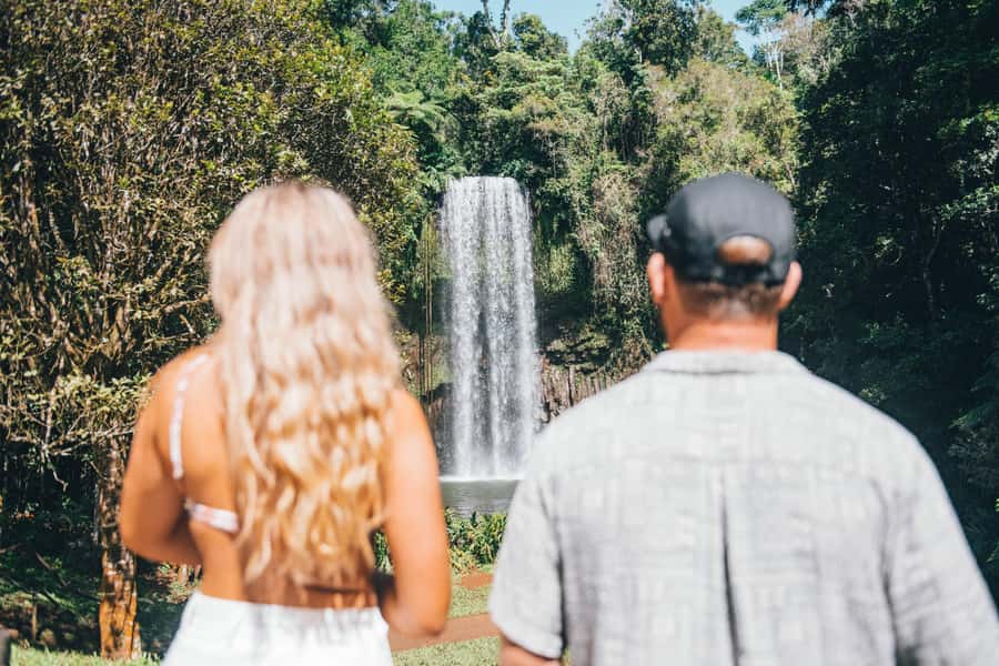 Cairns: Waterfall and Daintree Rainforest Tour - 2 Day Tours - Who will enjoy these two days most