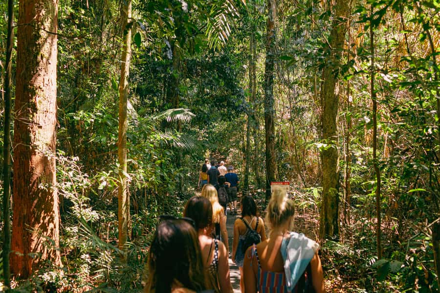 Cairns: Waterfall Tour with Lunch - Lunch in Malanda and what to expect on the plate