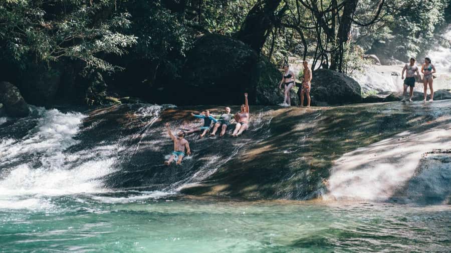 Cairns: Waterfall Tour with Lunch - Millaa Millaa Falls, the picture-perfect stop