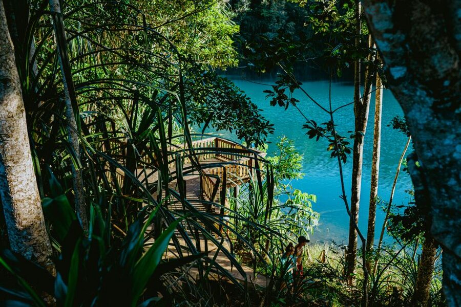 Cairns: Waterfall Tour with Lunch - Babinda Boulders and Indigenous stories