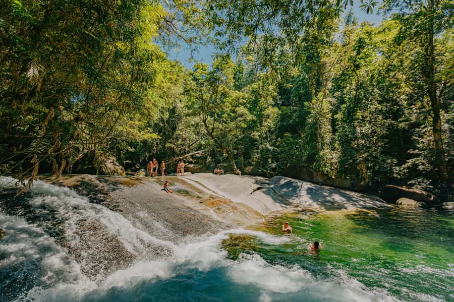 Cairns: Waterfall Tour with Lunch - Cathedral Fig Tree and the meaning of an old rainforest