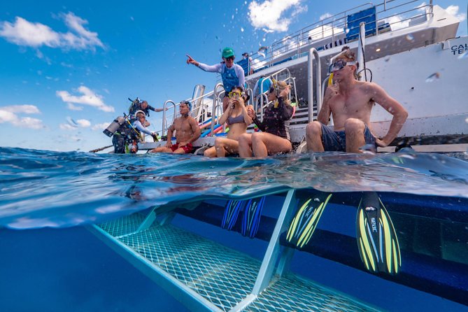 Calypso Outer Great Barrier Reef Cruise from Port Douglas - Three reef sites make the day worthwhile