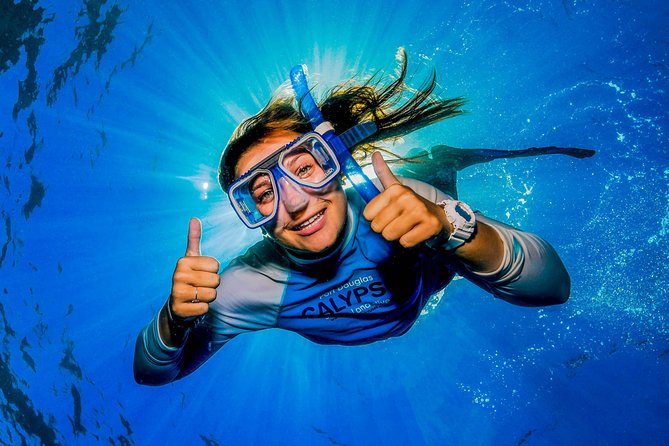 Calypso Outer Great Barrier Reef Cruise from Port Douglas - What happens between 8:20 am and the afternoon return