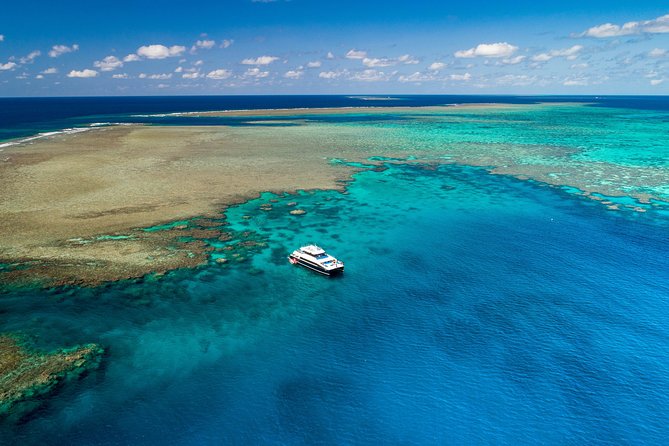 Calypso Outer Great Barrier Reef Cruise from Port Douglas - Introductory and certified scuba options