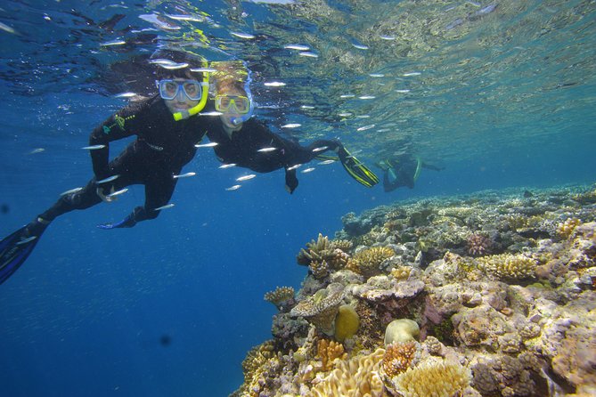 Calypso Outer Great Barrier Reef Cruise from Port Douglas - Rough water and seasickness advice