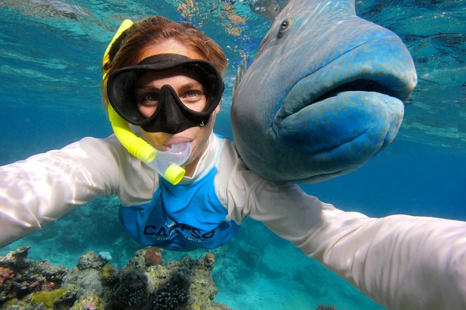 Calypso Outer Great Barrier Reef Cruise from Port Douglas - Lunch, tea, and what is actually included
