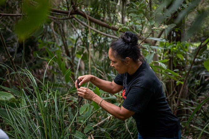 Cape Byron Aboriginal Tour - Who will get the most from this experience
