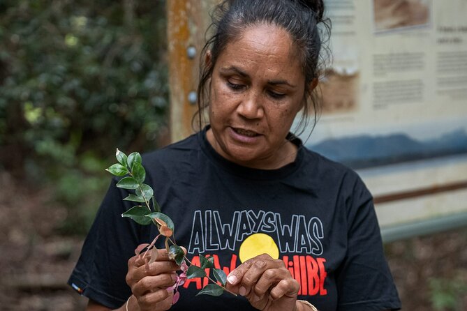 Cape Byron Aboriginal Tour - Timing, weather, and practical planning