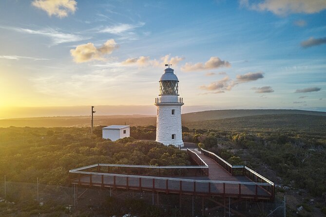 Cape Naturaliste Lighthouse Fully-guided Tour - Key points to know before you book
