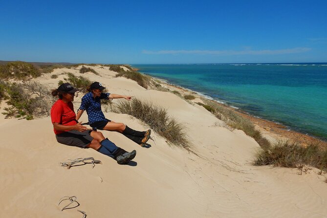 Cape Range National Park Full-Day Trekking Adventure - Morning: ridgelines, gorges, and ancient rock