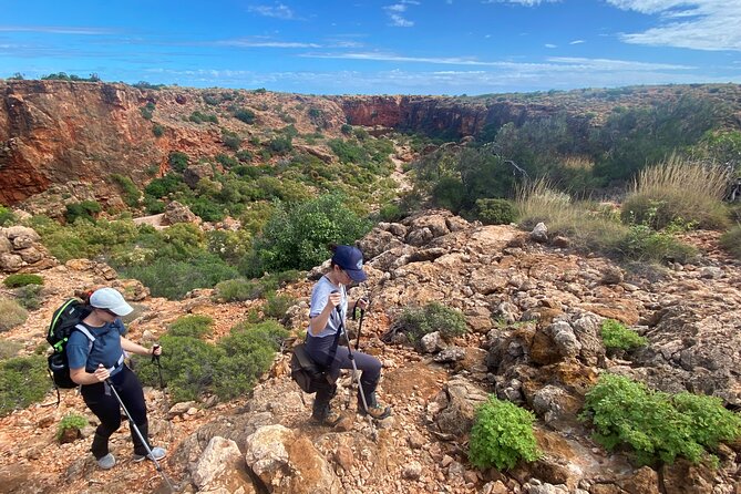 Cape Range National Park Full-Day Trekking Adventure - Afternoon: coastal plains and ancient dunes