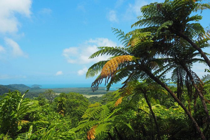 Cape Tribulation & Daintree Wilderness (TCT) - Cape Tribulation Beach and lunch
