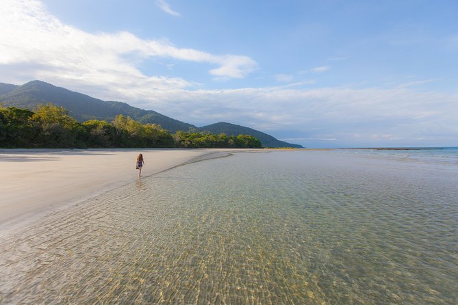 Cape Tribulation & Daintree Wilderness (TCT) - Guides can make or break the long day
