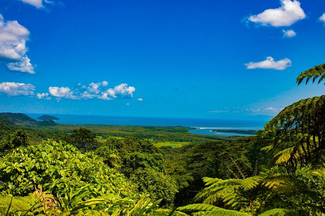 Cape Tribulation Day Tour - Why this Cape Tribulation day is worth considering