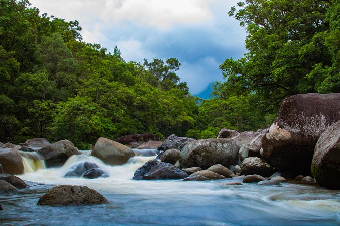Cape Tribulation Day Tour - Mossman Gorge and the weather-dependent swim