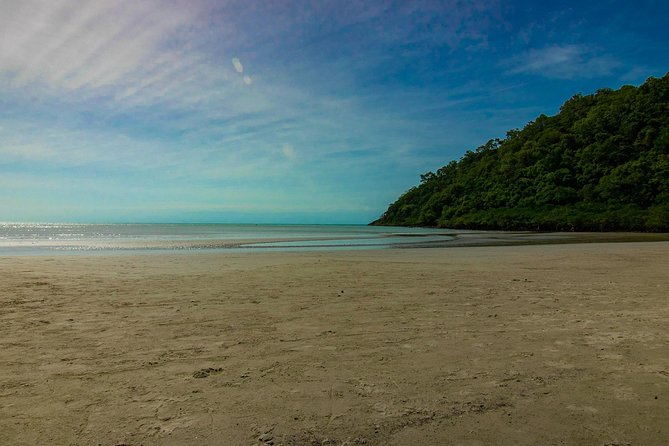 Cape Tribulation Day Tour - The return via Rex Lookout