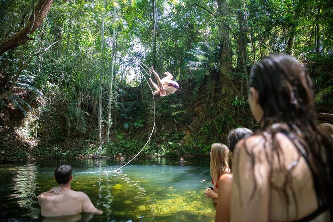 Cape Tribulation Day Tour from Cairns - Why Cape Tribulation works as a full-day trip from Cairns